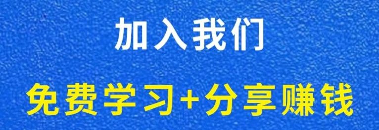 白菜价解锁20000+N个赚钱机会，加入小火把网创会员，全站资源免费学习。-小火把网创