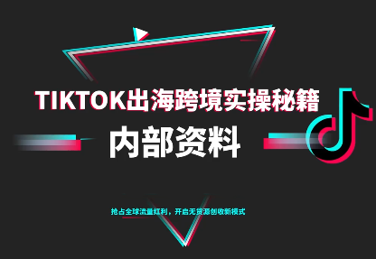 TikTok跨境电商0-1搭建运营(更新10月)-小火把网创