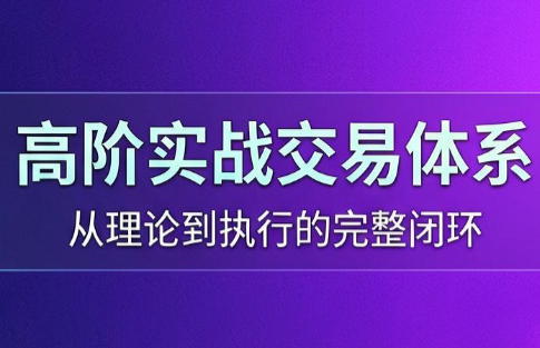 高老师·高阶实战交易体系(更新6月)-小火把网创