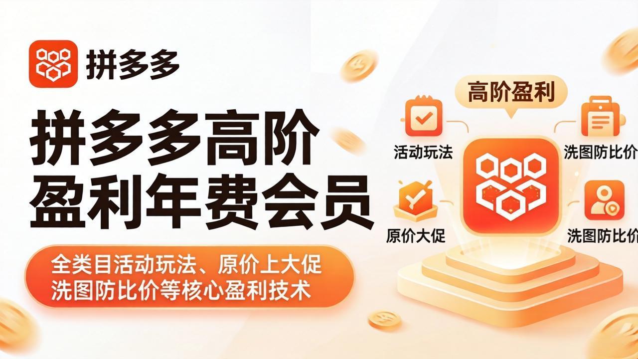 拼多多高阶盈利年费会员(更新4月19-小火把网创